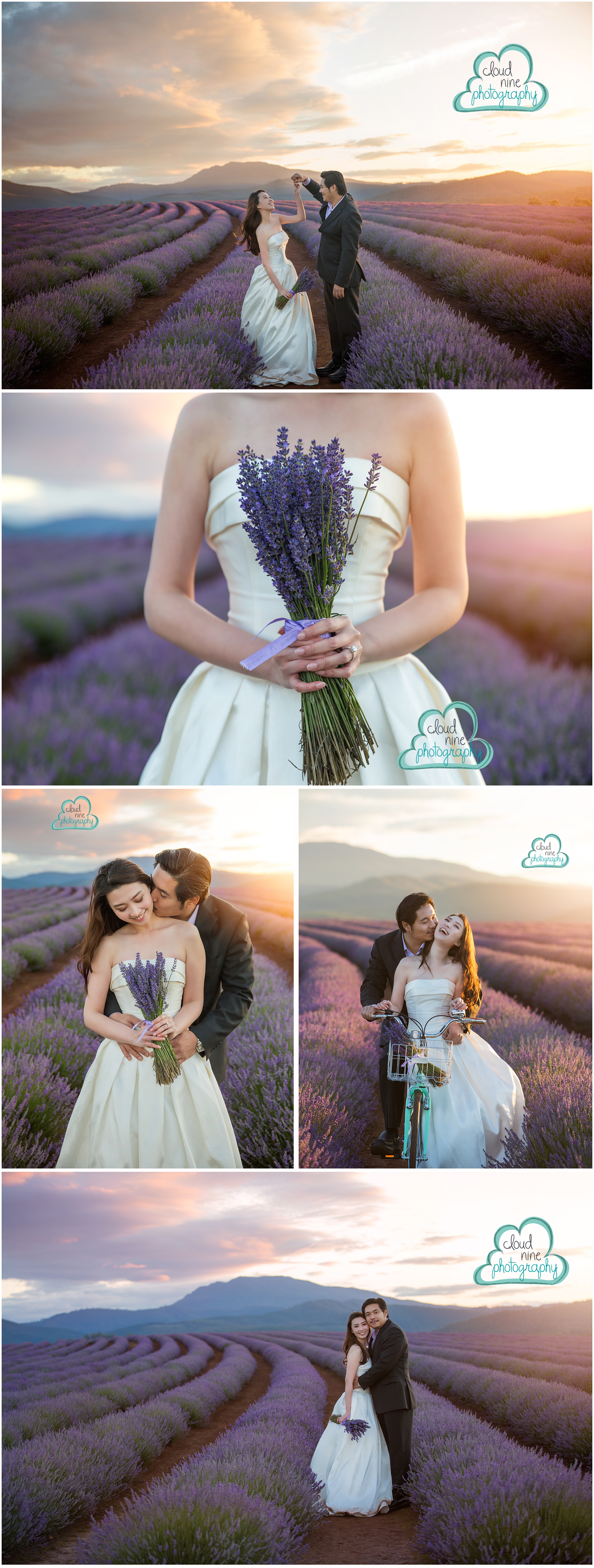 lavenderwedding